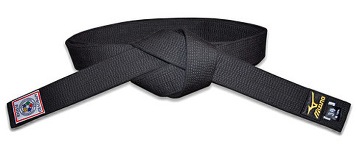 Uniformisation mondiale des dan