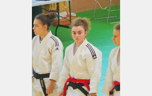 Championnats de France et Shiais