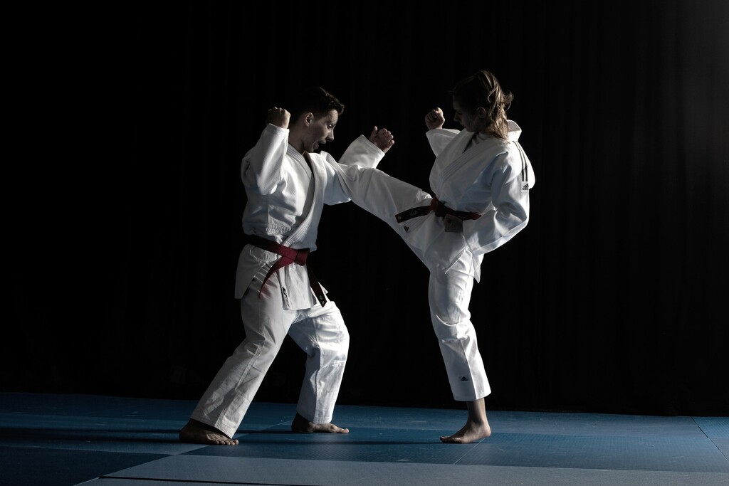 La mascotte des JO en judoka - Metz Judo