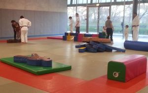 Reprise des cours Baby Judo