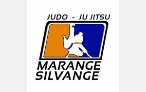 Stage Jujitsu