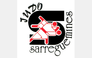 Stage de Sarreguemines