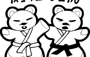 Entraînement public Eveils Judo