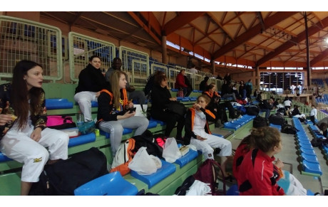 Championnats de France par équipes 2e division