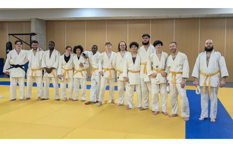 Une ceinture noire et des ceintures jaunes