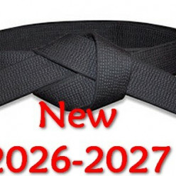 Modification du passage de grade ceinture noire