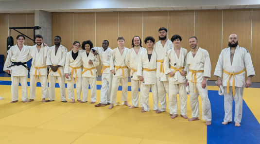 Une ceinture noire et des ceintures jaunes